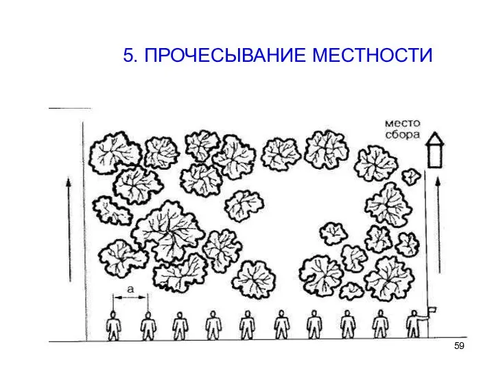 5. ПРОЧЕСЫВАНИЕ МЕСТНОСТИ