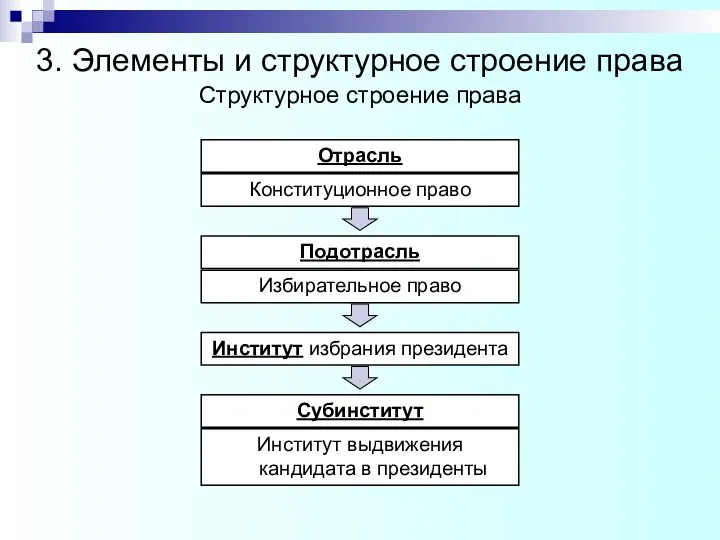 Конституционное право Структурное строение права Подотрасль Избирательное право Институт выдвижения кандидата в президенты