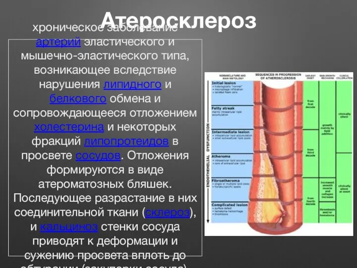 Атеросклероз хроническое заболевание артерий эластического и мышечно-эластического типа, возникающее вследствие