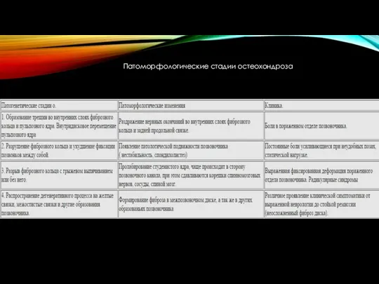 Патоморфологические стадии остеохондроза