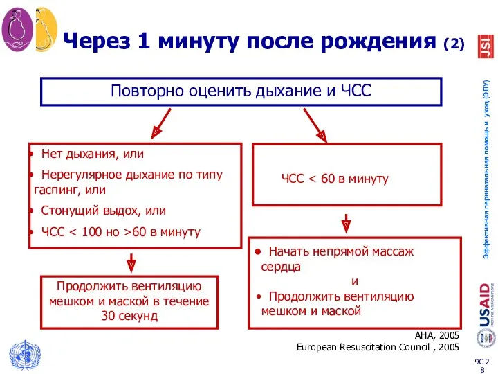 Через 1 минуту после рождения (2) Нет дыхания, или Нерегулярное