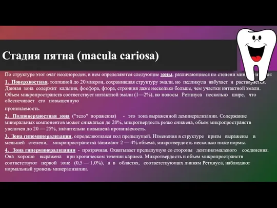 Стадия пятна (macula cariosa) По структуре этот очаг неоднороден, в