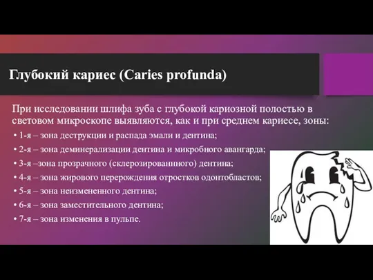 Глубокий кариес (Caries profunda) При исследовании шлифа зуба с глубокой