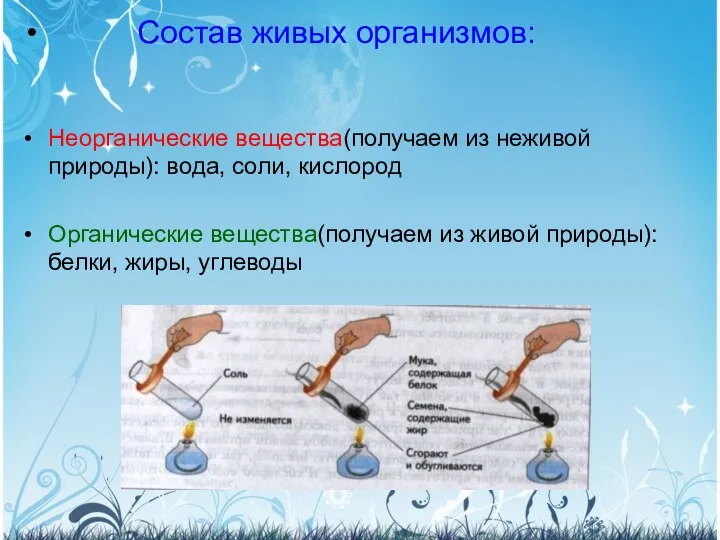 Состав живых организмов: Неорганические вещества(получаем из неживой природы): вода, соли,