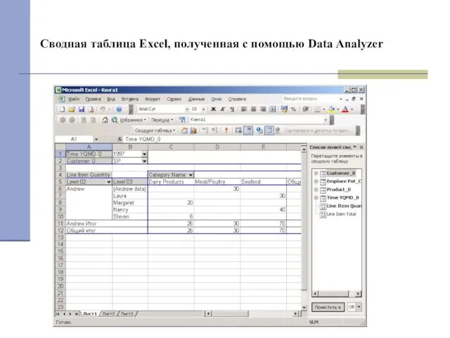 Сводная таблица Excel, полученная с помощью Data Analyzer