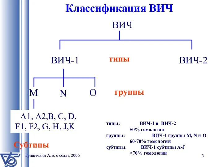 Классификация ВИЧ ВИЧ ВИЧ-1 ВИЧ-2 O M A1, А2,B, C, D, F1, F2,