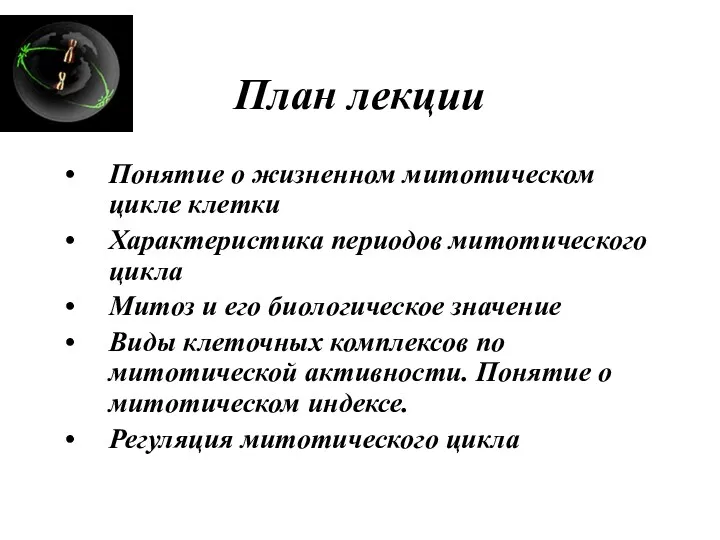 План лекции Понятие о жизненном митотическом цикле клетки Характеристика периодов