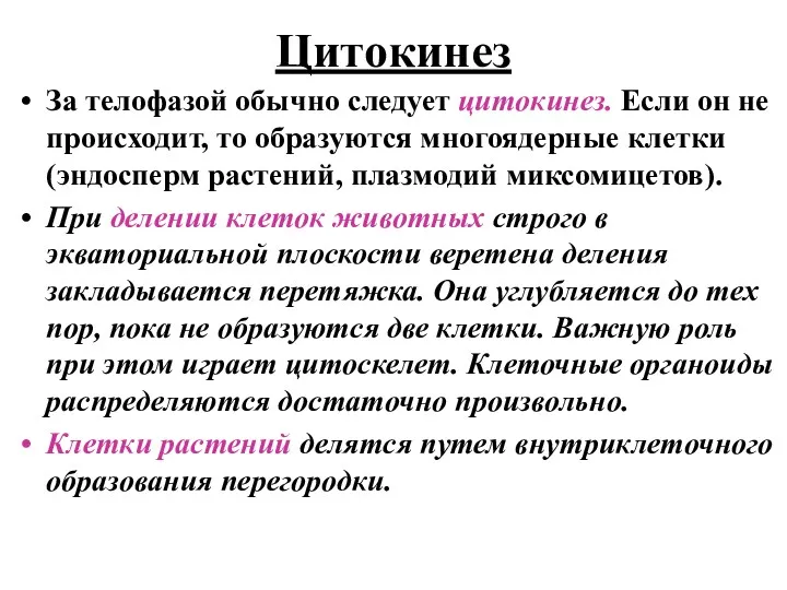 Цитокинез За телофазой обычно следует цитокинез. Если он не происходит,