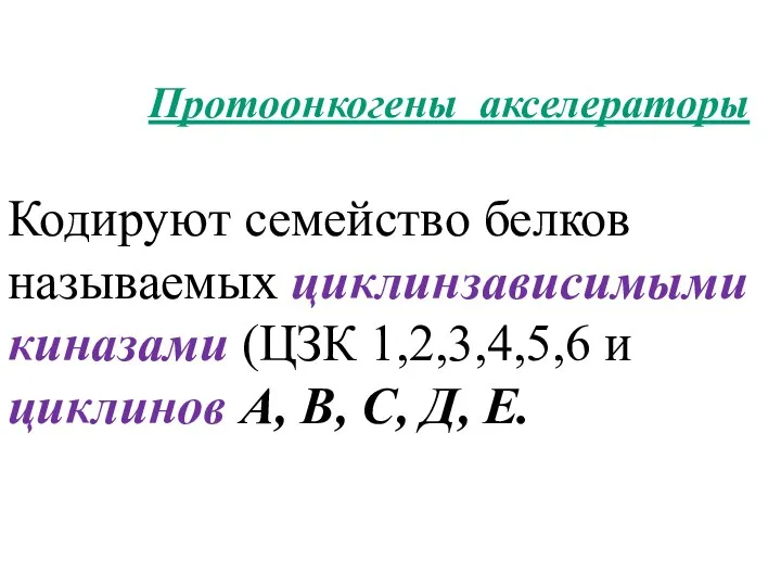 Протоонкогены акселераторы Кодируют семейство белков называемых циклинзависимыми киназами (ЦЗК 1,2,3,4,5,6