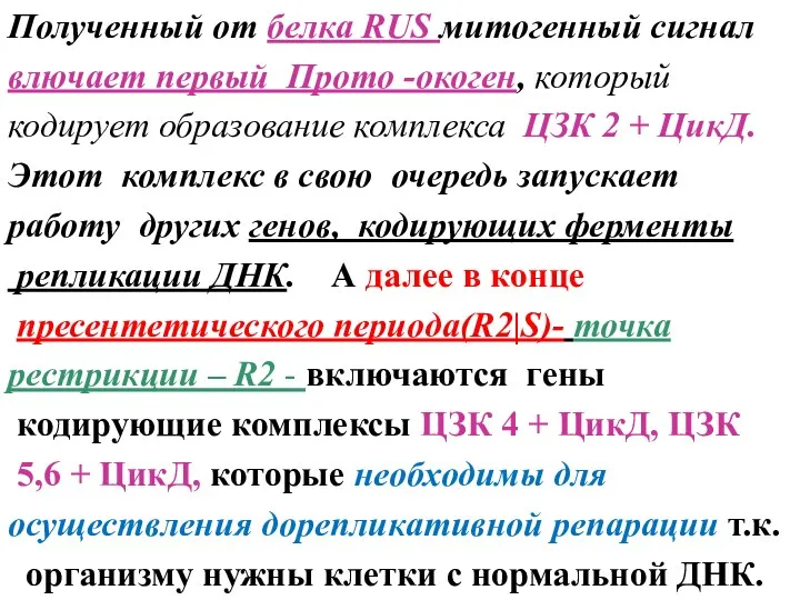 Полученный от белка RUS митогенный сигнал влючает первый Прото -окоген,