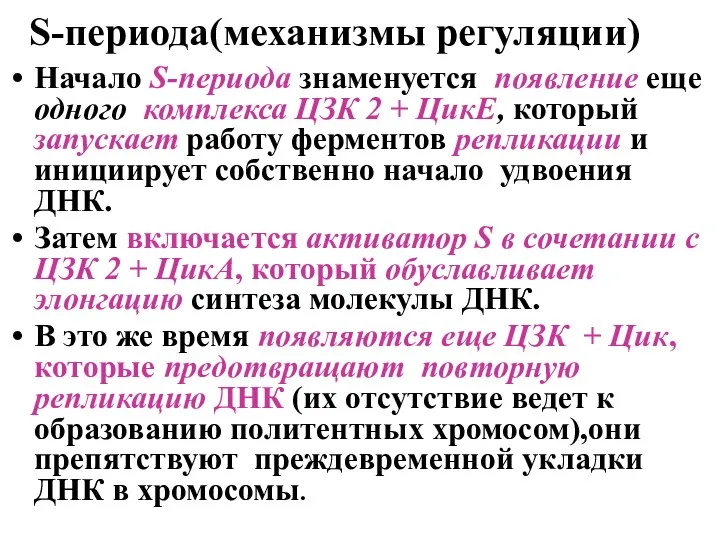 S-периода(механизмы регуляции) Начало S-периода знаменуется появление еще одного комплекса ЦЗК