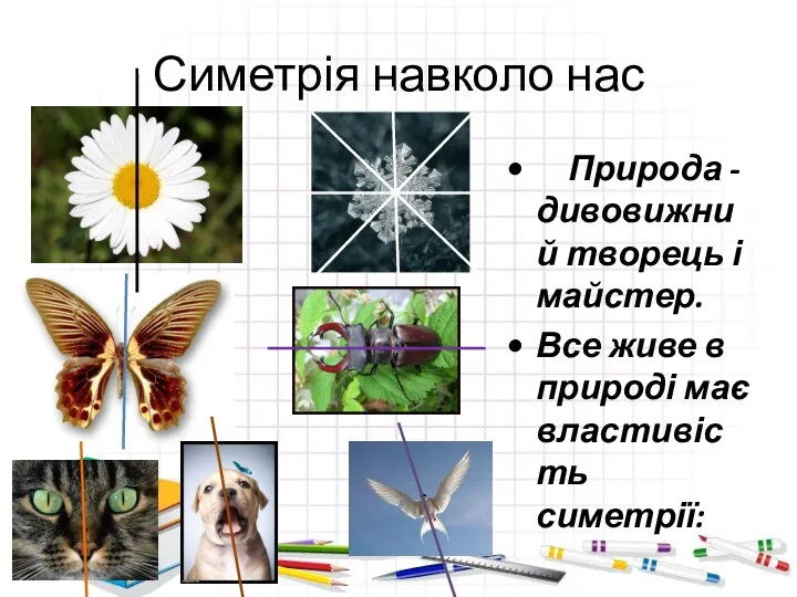 Симетрія навколо нас Природа - дивовижний творець і майстер. Все живе в природі має властивість симетрії: