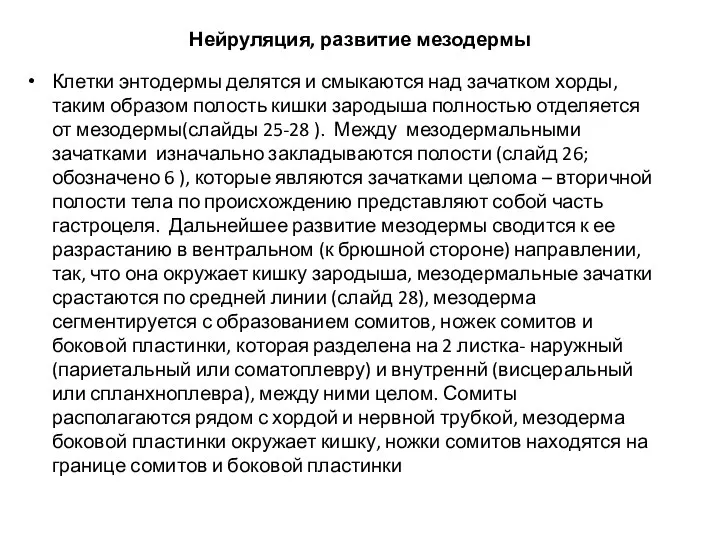 Нейруляция, развитие мезодермы Клетки энтодермы делятся и смыкаются над зачатком