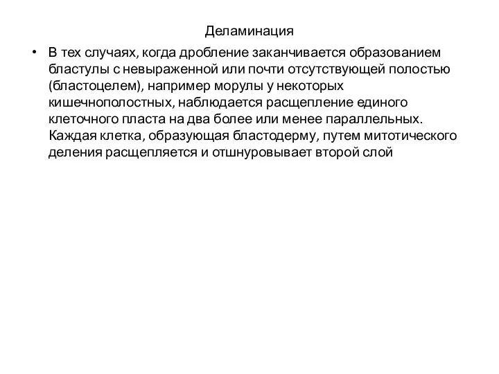 Деламинация В тех случаях, когда дробление заканчивается образованием бластулы с