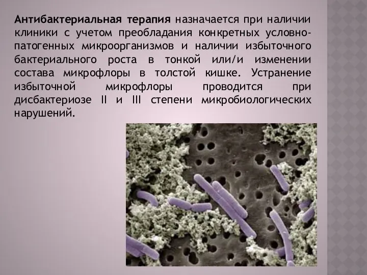 Антибактериальная терапия назначается при наличии клиники с учетом преобладания конкретных