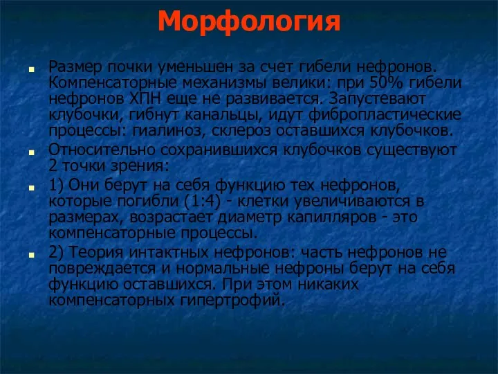 Морфология Размер почки уменьшен за счет гибели нефронов. Компенсаторные механизмы