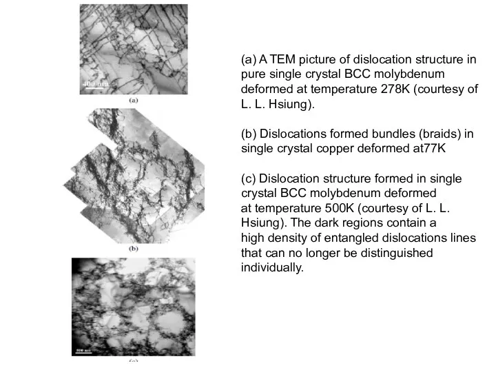 (a) A TEM picture of dislocation structure in pure single crystal BCC molybdenum