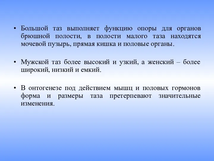 Большой таз выполняет функцию опоры для органов брюшной полости, в