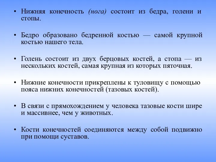 Нижняя конечность (нога) состоит из бедра, голени и стопы. Бедро