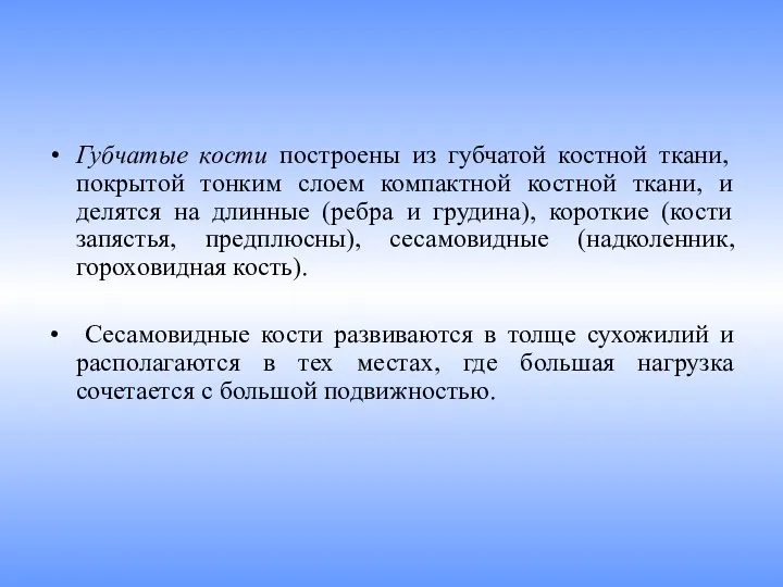 Губчатые кости построены из губчатой костной ткани, покрытой тонким слоем