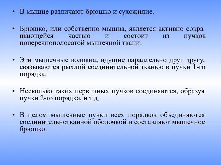 В мышце различают брюшко и сухожилие. Брюшко, или собственно мышца,