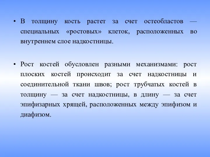 В толщину кость растет за счет остеобластов — специальных «ростовых»