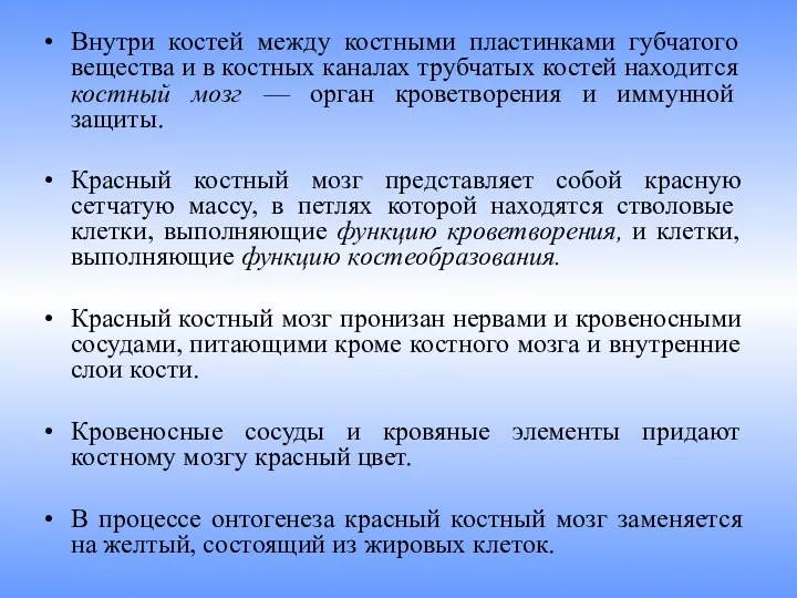 Внутри костей между костными пластинками губчатого вещества и в костных