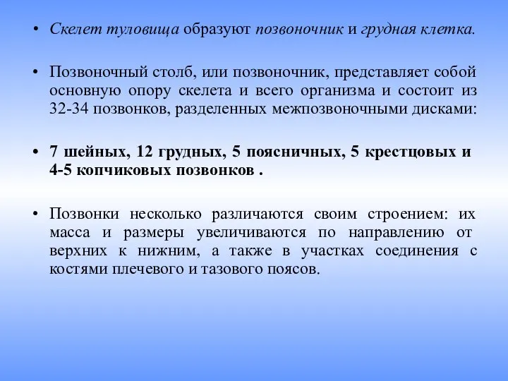 Скелет туловища образуют позвоночник и грудная клетка. Позвоночный столб, или