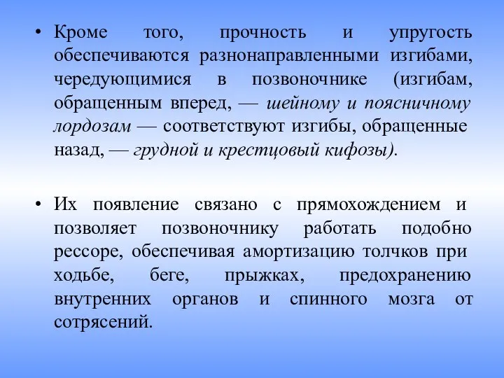 Кроме того, прочность и упругость обеспечиваются разнонаправленными изгибами, чередующимися в