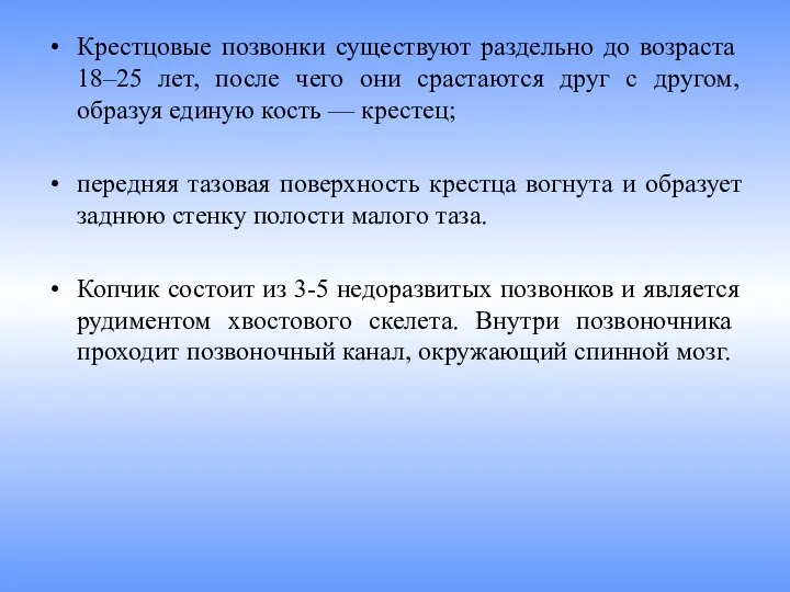 Крестцовые позвонки существуют раз­дельно до возраста 18‒25 лет, после чего