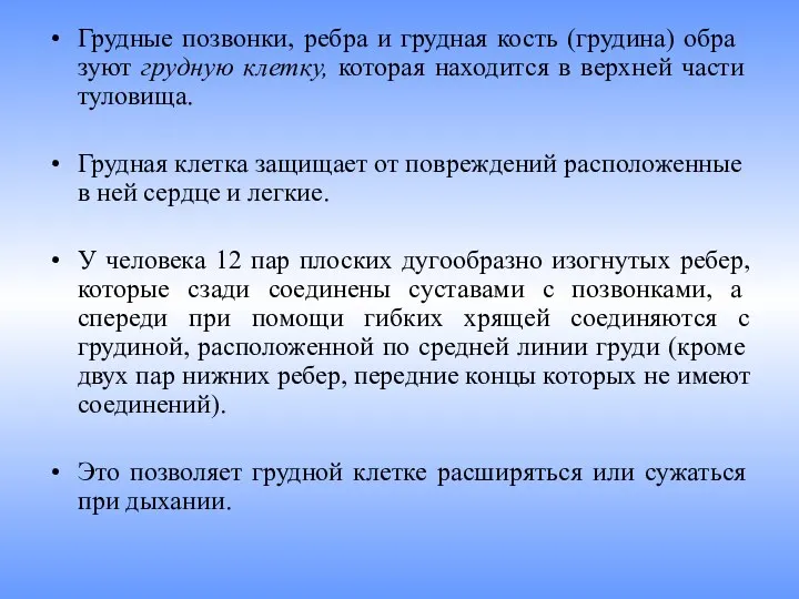 Грудные позвонки, ребра и грудная кость (грудина) обра­зуют грудную клетку,