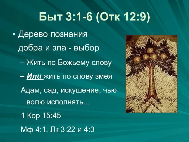 Быт 3:1-6 (Отк 12:9) Дерево познания добра и зла -