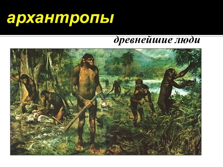 Один из первых «габилисов» - архантропы древнейшие люди