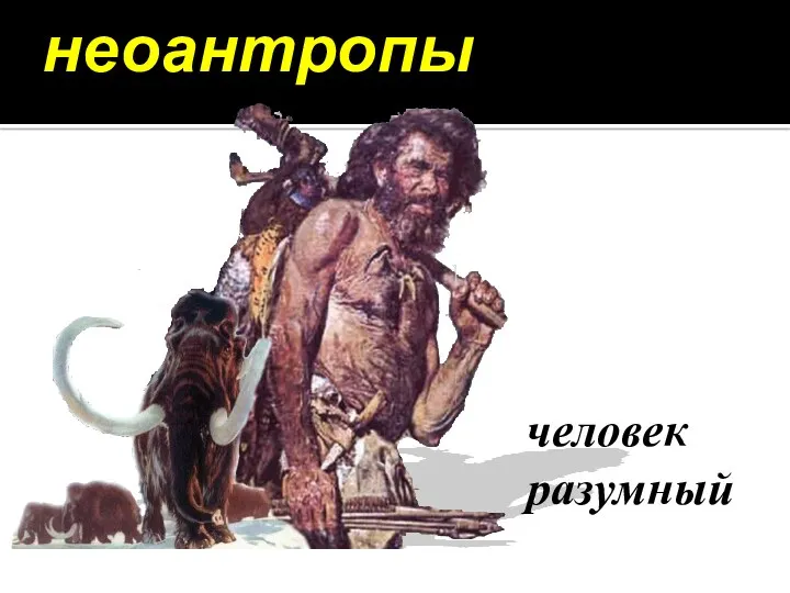 неоантропы человек разумный