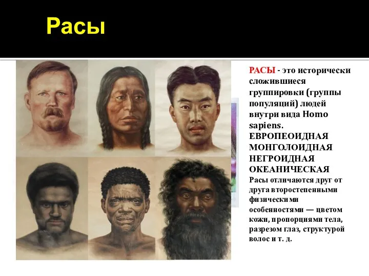 Расы РАСЫ - это исторически сложившиеся группировки (группы популяций) людей