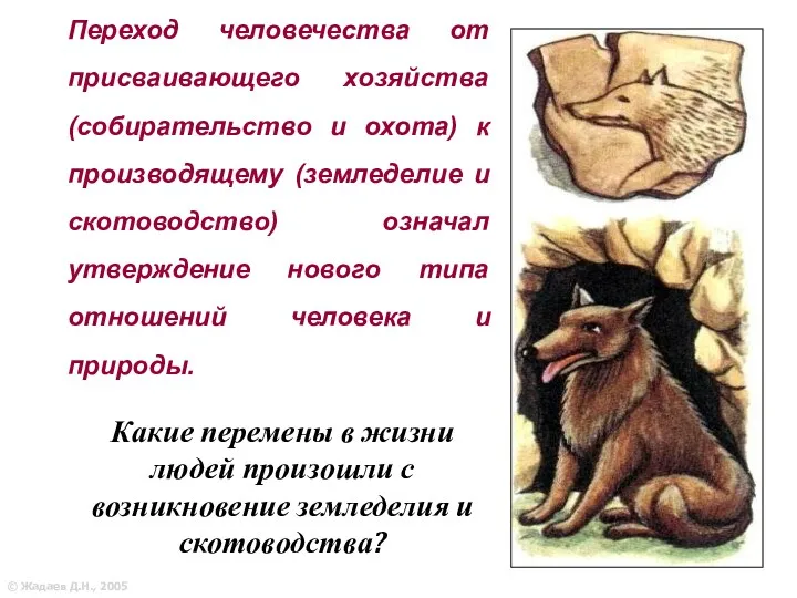 © Жадаев Д.Н., 2005 Переход человечества от присваивающего хозяйства (собирательство