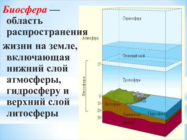 Биосфера — область распространения жизни на земле, включающая нижний слой атмосферы, гидросферу и верхний слой литосферы