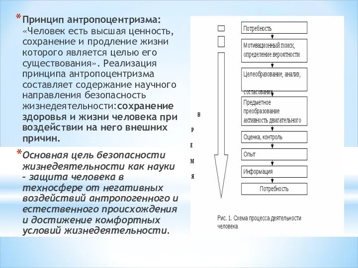 Принцип антропоцентризма:«Человек есть высшая ценность, сохранение и продление жизни которого