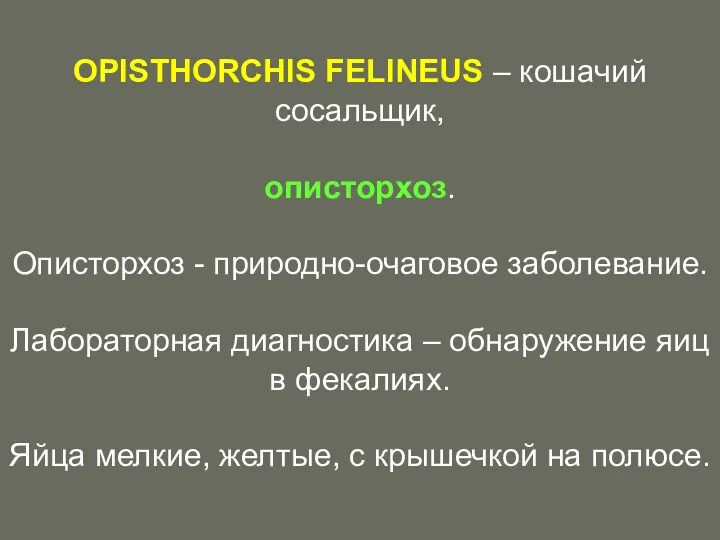 OPISTHORCHIS FELINEUS – кошачий сосальщик, описторхоз. Описторхоз - природно-очаговое заболевание.