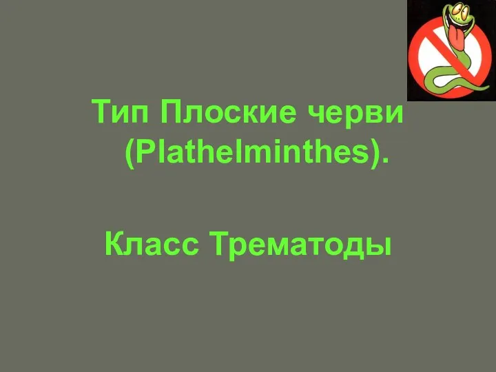 Тип Плоские черви (Plathelminthes). Класс Трематоды