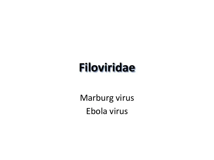 Filoviridae Marburg virus Ebola virus