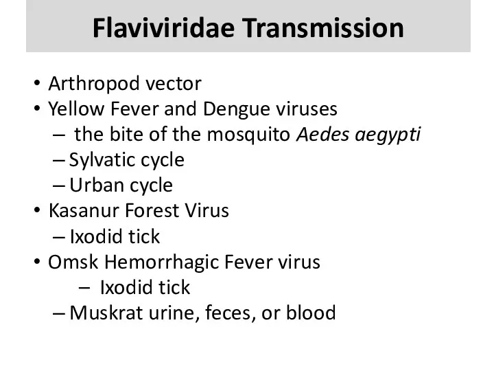 Flaviviridae Transmission Arthropod vector Yellow Fever and Dengue viruses the