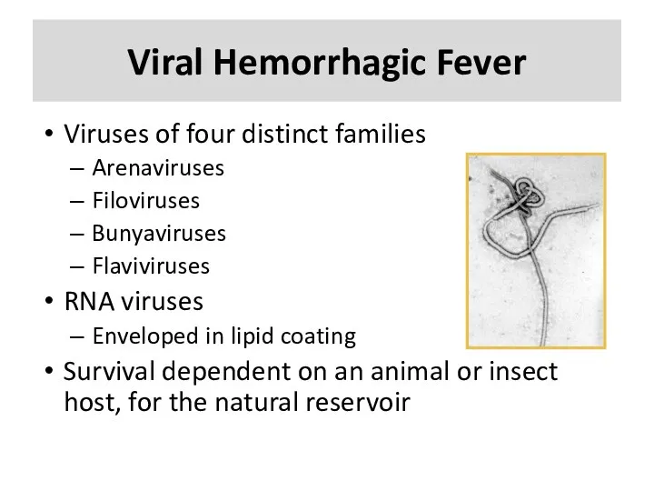Viral Hemorrhagic Fever Viruses of four distinct families Arenaviruses Filoviruses