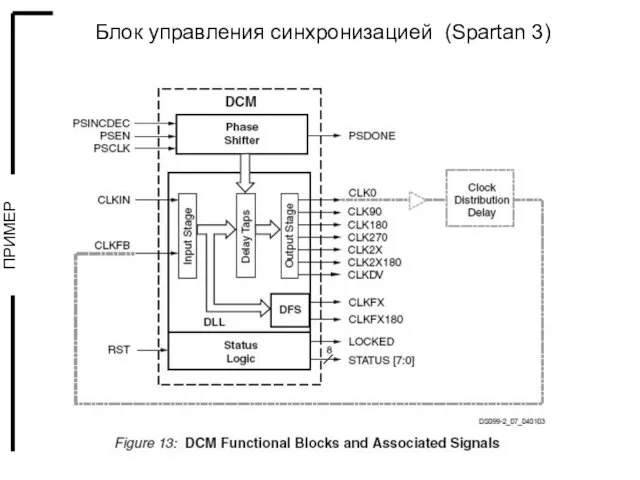 Блок управления синхронизацией (Spartan 3)