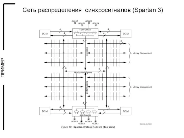 Сеть распределения синхросигналов (Spartan 3)