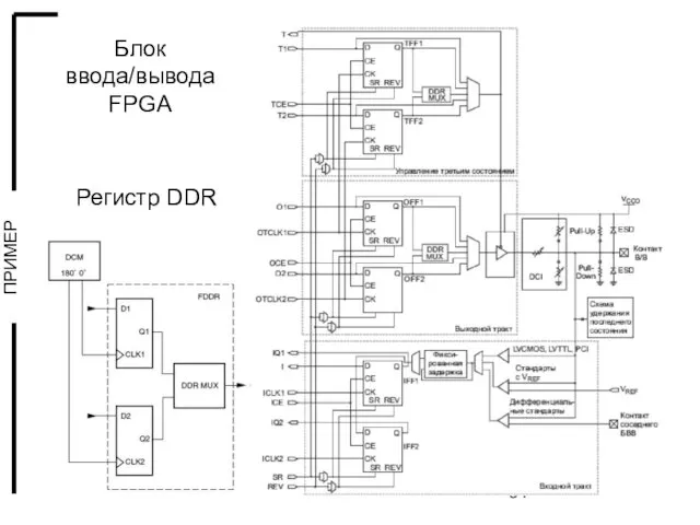 Блок ввода/вывода FPGA Регистр DDR