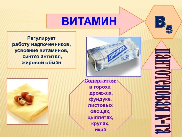 ВИТАМИН B5 пантотеновая к-та Регулирует работу надпочечников, усвоение витаминов, синтез