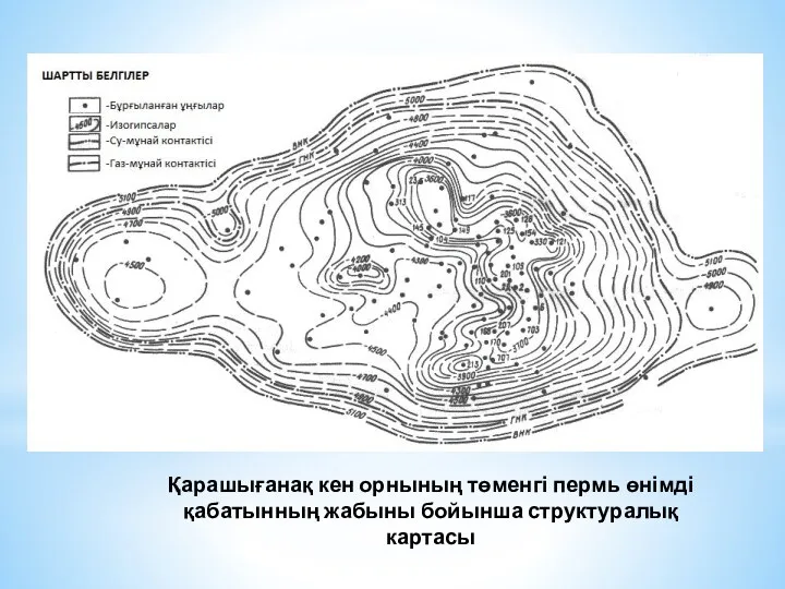 Қарашығанақ кен орнының төменгі пермь өнімді қабатынның жабыны бойынша структуралық картасы