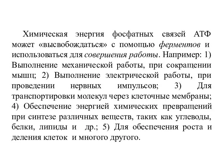 Химическая энергия фосфатных связей АТФ может «высвобождаться» с помощью ферментов