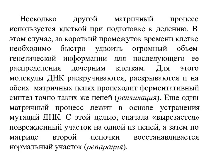 Несколько другой матричный процесс используется клеткой при подготовке к делению.